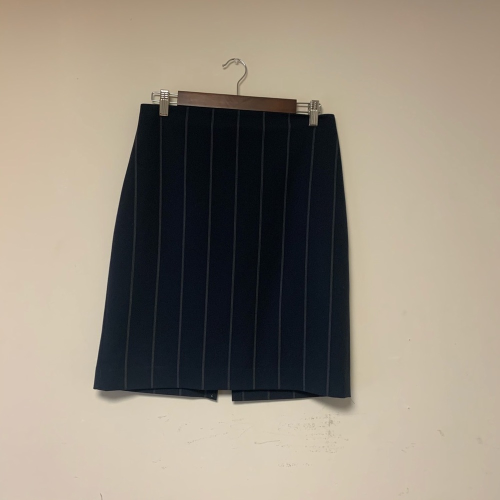 Express  skirt